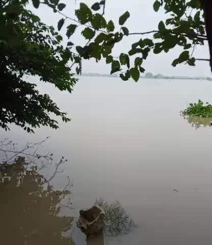yamuna over flow#danger area,Sihara,cheer ghat, mathura