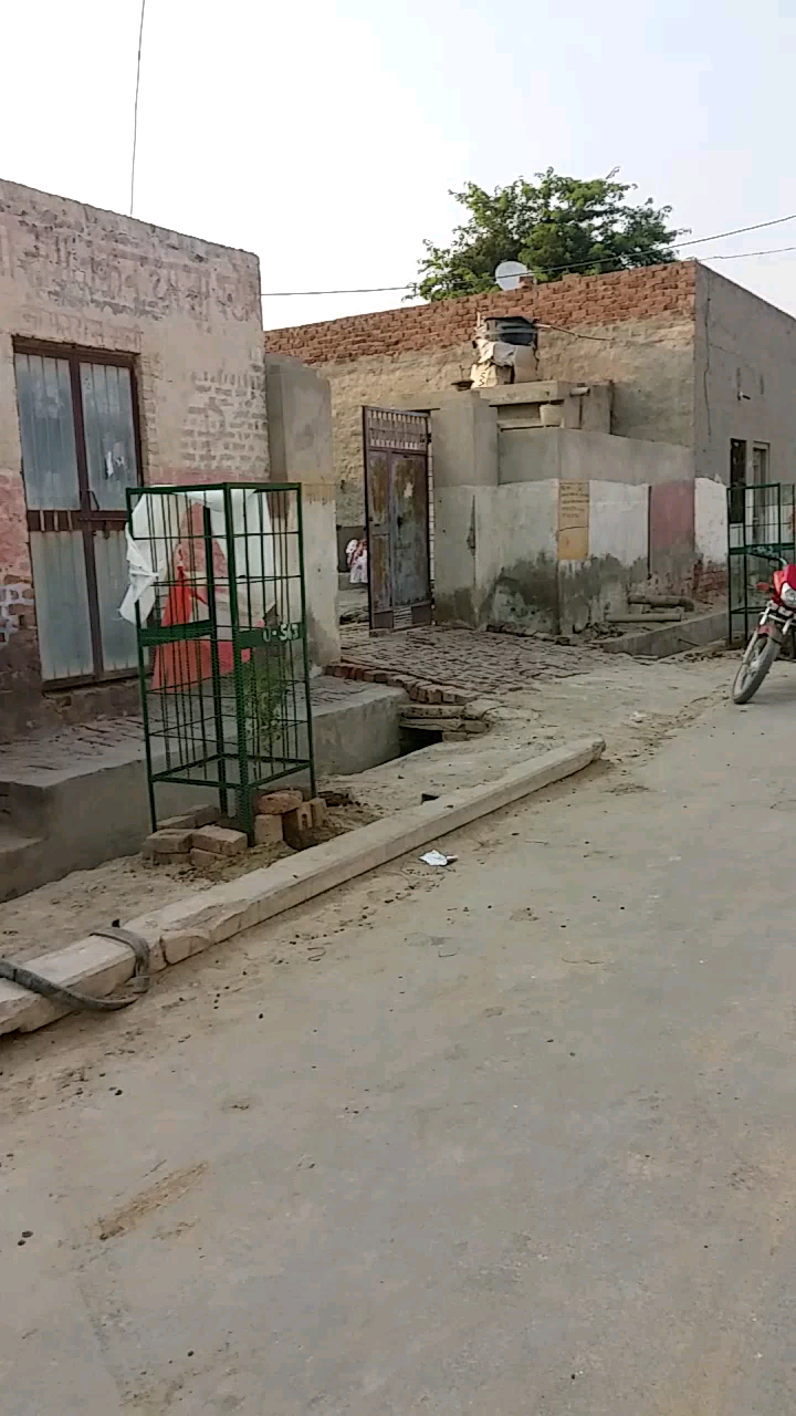 नई खुन्जा  वार्ड नं 4  मे पौधा रोपण किया गया #13pointroster