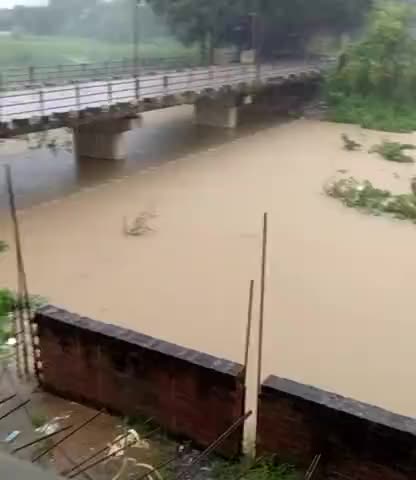 चुनार: Biksi gadai nadi ka yah drish hai jo ki bhari barish ke nadi ka pani bikral rup ﻿@#13point