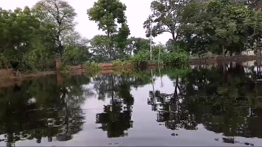 नाथद्वारा: पानी निकासी मार्ग अवरुद्ध होने से फसल हुई बर्बाद#khamnore #राजसमन्द