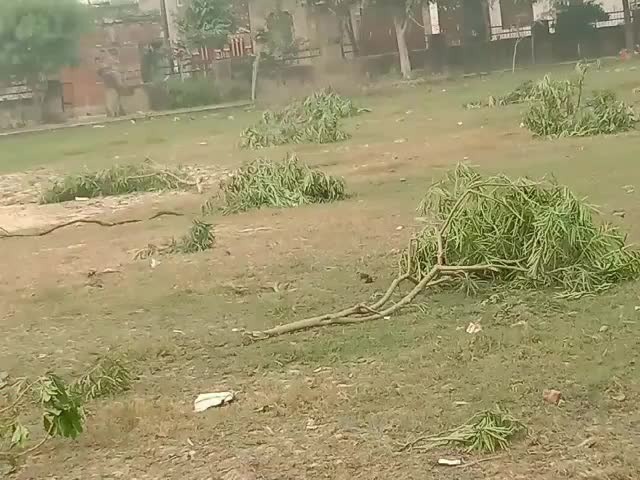 कानपुर: कानपुर- बिधनू थाना अंतर्गत सागर पुरी चौराहा के पास सरकारी पार्क के अंदर 28 से 30 हरे पेड़ काटे गए। ﻿#upgov