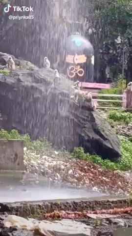 घोसी: on nmh siway 
﻿@﻿@﻿@﻿@# #10y