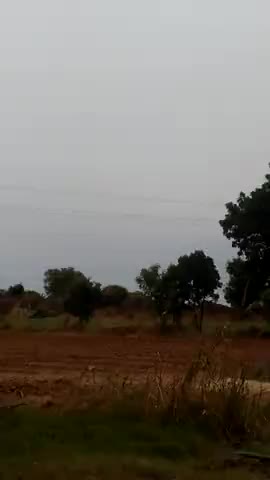 भोपालगढ़: बावडी, कसबे. मे. कजनाऊ. कलसा. 5.जनो.के.समु.घर.केनशन.कि.जबर.दशती.अपने.खेत.मे.रखन.लगा.#10l