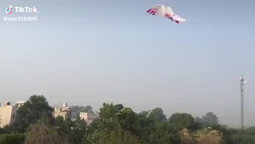 सिरसा: #﻿@#﻿@#10l  sonk da koi mul ni