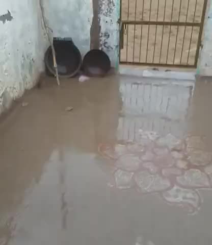 शेरगढ़: लोङता अचलावता सूथारा की ठानी ﻿@﻿@﻿@#10y