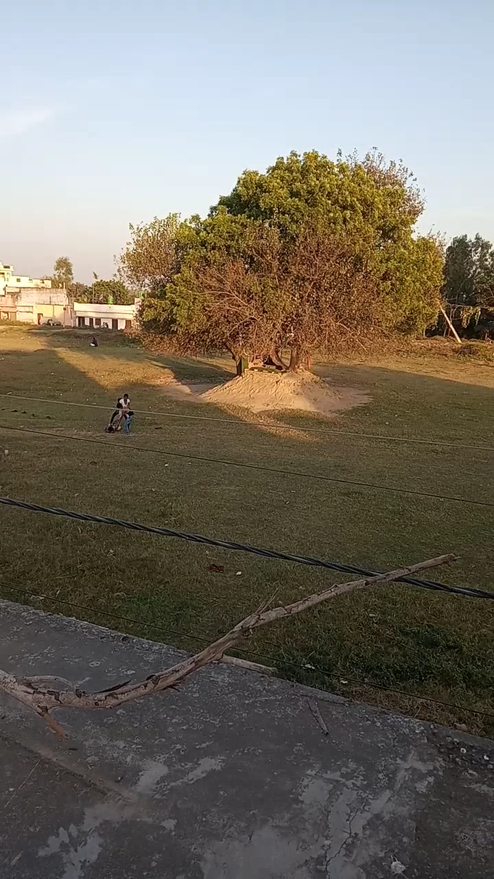 बहेड़ी: Abbas Nagar jafri ka field ma enjoy karta huai bacha#﻿@﻿@﻿@﻿@﻿@﻿@﻿@﻿@#122