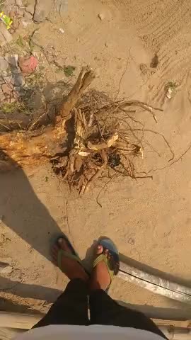 गया टाउन सीडी ब्लॉक: save trees save Earth yeha log catta ja rh h jOo  cuut rh h inha jald se jld﻿@﻿@#10lak #10yrchalle #10y #07 #128