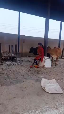 रायपुर: अब तो हद ही हो गया यार 
tik tok समशान घाट में#11