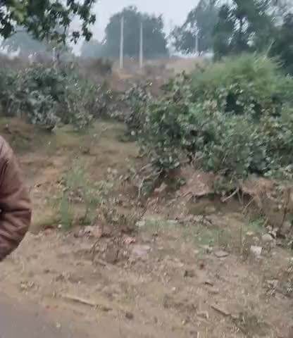 प्रतापपुर: pratappur kashmar me tufan aya#10l1954288 ##10trending #10l19 #024##100ph