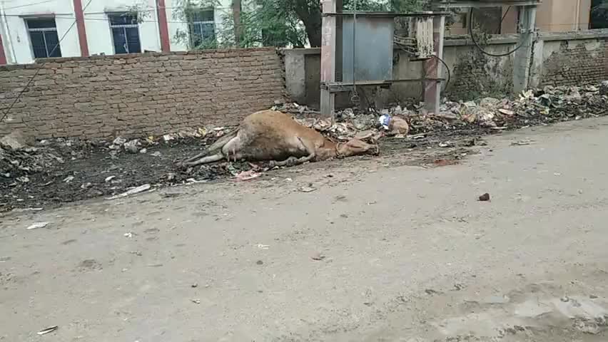 आरा: #shameless #social #death #lifesavingidea #life #opinion