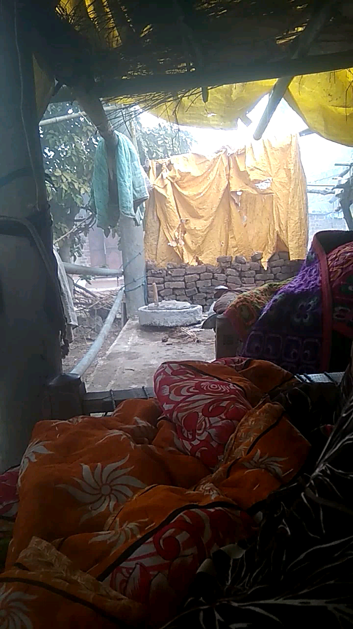 चाचौड़ा: rakesh में पिपलिया से बेजरहू जिला गुना﻿@#0245