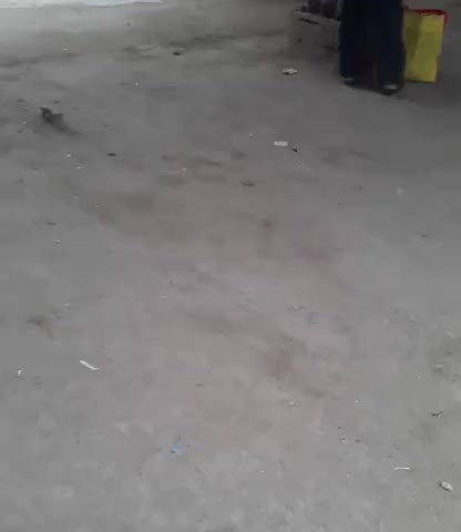 आरा: sardi ka asar para 8 digree﻿@#0