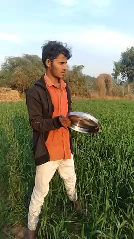 रानीवाड़ा: ब्रेकिंग न्यू
#10kfollowers ज़ जाखड़ी गांव में तीड,आया