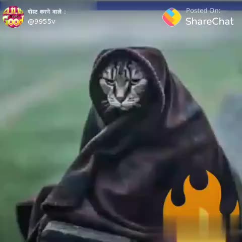औरंगाबाद: that's funny 😂😂############################0786