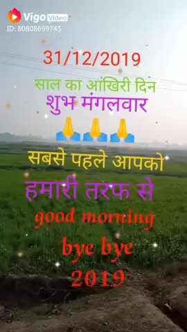 पचरुखी: pachrukhi  gopalpur siwan ﻿@﻿@﻿@#10l1954288