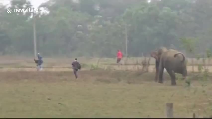 बरकागाँव: #01 हाथीयो ने क्या हमला barkagaon मिर्जापुर में
