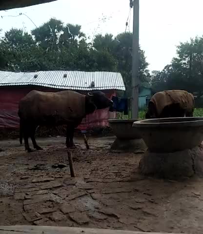 लालगंज: Khoajpur basti village #Patepur