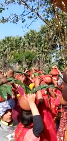 खोदावंदपुर: barauni  bariyarpur me kalash yatra niklte hwe#﻿@#10l19
