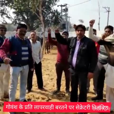 हापुड़: वझीलपुर गांव के स्वास्थ्य केंद्र में 2 दिन तक गोवंश बंद रहने पर DPRO ने ग्राम पंचायत अधिकारी को किया सस्पेंड #सस्पेंड