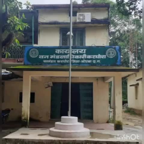 करतला: शालीपहाड के नीचे मादा हाथी की मौत होने पर निलंबित किए गए थे DFO, जांच टीम ने पाया निर्दोष #डीएफओ #निलंबन