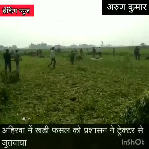 भोगांव: अहिरवा में 200 बीघा जमीन पर खड़ी फसल पर प्रशासन ने ट्रैक्टर चलाकर कराया कब्जा मुक्त #प्रशासन #अवैध_कब्जा