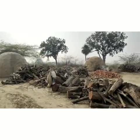 कुंडा: कुंडा इलाके में कोयला भट्ठियों के लिए काटे जा रहे हरे पेड़, प्रशासन बेखबर #अवैध_कटाई #ngt