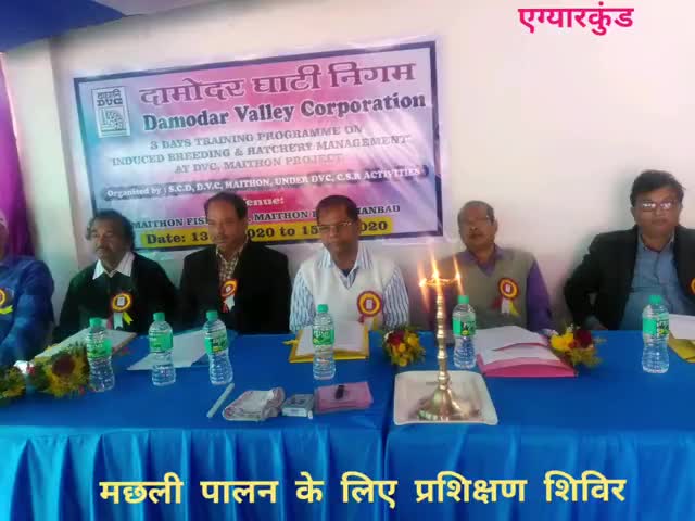 निरसा/चिरकुंडा: मैथन स्थित डीवीसी द्वारा मत्स्य पालन को लेकर तीन दिवसीय प्रशिक्षण शिविर का किया जा रहा आयोजन #मत्स्य_पालन