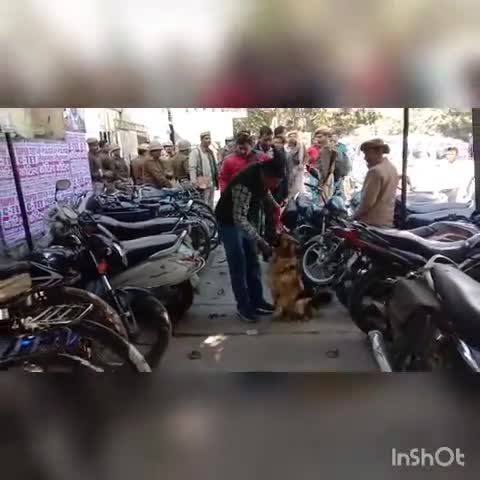 कोल: लखनऊ कोर्ट में हुई बमबाजी की घटना के बाद सिविल लाइन के कचहरी परिसर में चलाया गया चेकिंग अभियान #विस्फोट #चेकिंग_अभियान