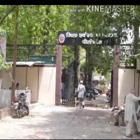 पीलीभीत: बमरौली गांव में महिला की हत्या मामले में ननद और नंदोई को सुनाई गई उम्रकैद की सजा #हत्या  #उम्रकैद