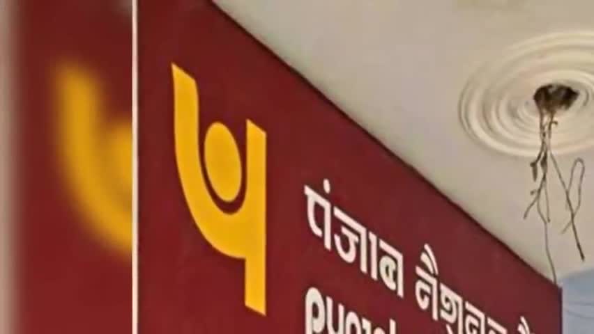 नामकुम: फर्जी दस्तावेज लगाकर PNB से 1 अरब का लोन लेने वालों के खिलाफ ED ने किया केस दर्ज, CBI व ED एक साथ करेंगी जांच #pnb #cbi