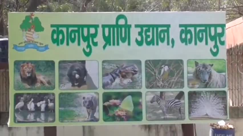 कानपुर: कानपुर चिड़ियाघर में खुल सकता है तितली पार्क, बारीकियां समझने के लिए लखनऊ रवाना हुई दस सदस्यीय टीम #वन्यजीव