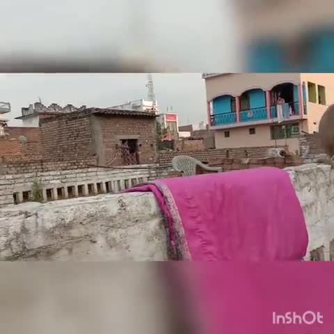 अमनौर: अमनौर बाजार में बंदरों के आतंक से परेशान हैं ग्रामीण और दुकानदार, दुकानों से उठा ले जा रहे सामान #वन्यजीव