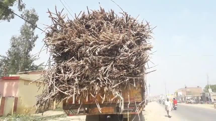 शामली: थानाभवन कस्बे में एआरटीओ ने ओवरलोड गन्ने से लदे ट्रक को किया सीज , लगाया  ₹26 हजार का जुर्माना  #एआरटीओ