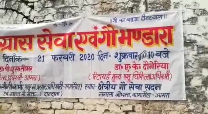 खेरागढ़: नगला जोधना कागरोल में पूर्व मुख्य पशु चिकित्साधिकारी व थानाध्यक्ष ने ग्रास सेवा व गो भंडारे का किया आयोजन #गोसेवा