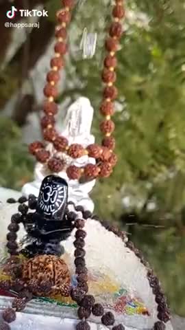 कटनी नगर: #jagdishmukhi #jagdish #jagdishmukhi  #jai mahakal