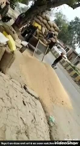 बिधूना: अछल्दा में धान घोटाला सामने आने के बाद प्रशासन सतर्क, किसानों से सीधे धान खरीद शुरू #धान_खरीद #घोटाला