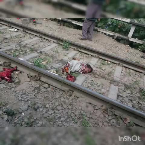 देेेवरिया: सदर रेलवे स्टेशन के कसया रेलवे ढाला पर मालगाड़ी की चपेट में आने से युवक की मौत #मौत #मालगाड़ी