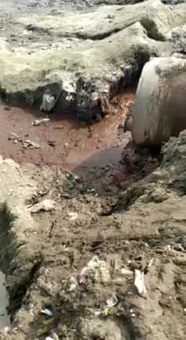 कानपुर: बिठूर में सफाई अभियान के कई प्रयासों के बाद भी गंगाजी में गिरता है नाले का पानी, प्रशासन बेखबर #नमामि_गंगे