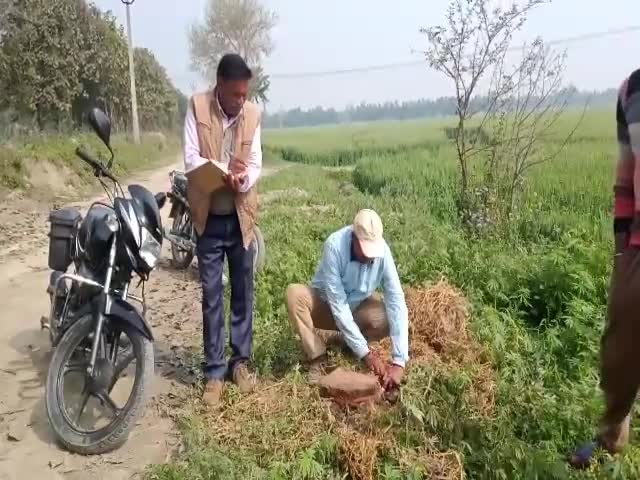 बीसलपुर: ब्रेकिंग 
#बिलसंडा में ग्राम प्रधान दवांगई से काट रहा शीसम, वन विभाग की टीम पहुंची