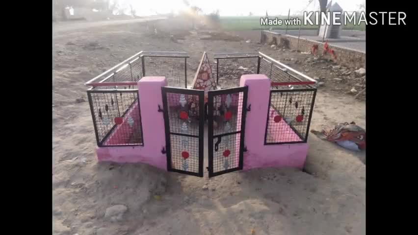 रायसिंहनगर: रायसिंहनगर के गांव भदवांवाला में मालासिंध जी के मंदिर पर सवामणी व जागरण का होगा आयोजन #धर्म #लंगर