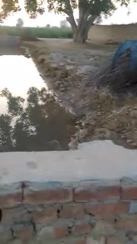 अनूपगढ़: गांव 62जीबी (ए) में पांच माह पूर्व बने जोहड़ की चारदीवारी हुई क्षतिग्रस्त, व्यर्थ बह रहा है पानी #ग्राम_पंचायत