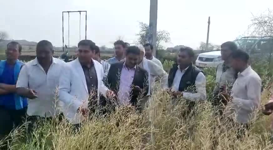 बहरोड़: विधायक बलजीत यादव ने ओलावृष्टि से हुऐ नुकसान का जायजा लिया
#बहरोड #नीमराणा #खबर_पल_पल