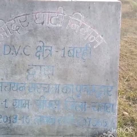 मयूरहंड: पीपरा में DVC द्वारा बनाए गए तालाब से किसानों को मिल रहा दोहरा लाभ, सिंचाई के साथ मेढ़ भी किसानों के लिए बनी उपयोगी #dvc
