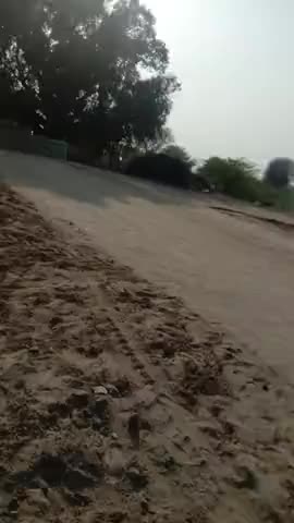 रायसिंहनगर: गंगुवाला ग्राम पंचायत के गांव कुमारा वाला के बस स्टैंड पर नरेगा द्वारा सरपंच भाई योगेश कुमार ने करवाई साफ-सफाई #नरेगा