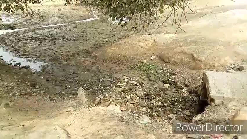 सादुलशहर: ग्राम पंचायत रोटावाली में पानी के मोघे से नुकलकर खुले में बह रहा है पानी, किसान हो रहे परेशान #सिंचाई
