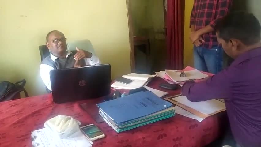 रामपुर: जल जीवन हरियाली को लेकर रामपुर में लगाए जाएंगे 12000 से अधिक पौधे, मनरेगा पीओ ने दी जानकारी #जल_जीवन_हरियाली