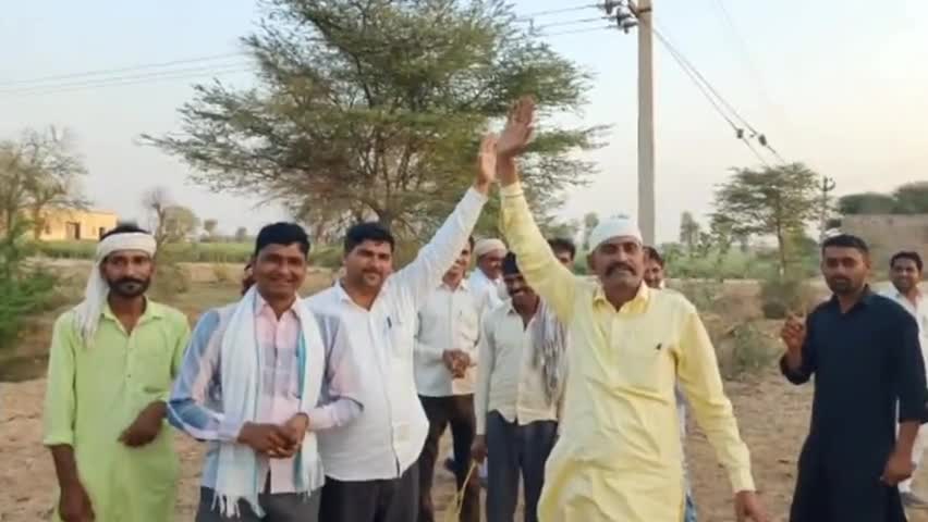 घड़साना: ग्राम पंचायत 1MLK C में लाडीशाह नन्दी गौशाला के तहत नन्दियों की हो रही है सेवा, जनसहयोग से पशुओं को मिल रहा चारा #गोशाला