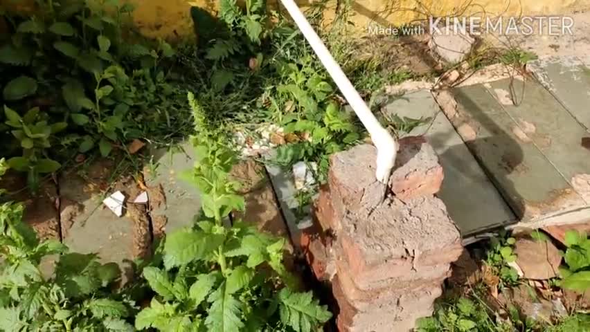 घड़साना: घड़साना सामुदायिक स्वास्थ्य केंद्र में व्यर्थ बह रहा है पानी, संबंधित महकमा नहीं दे रहा ध्यान #सीएचसी #जल_संरक्षण