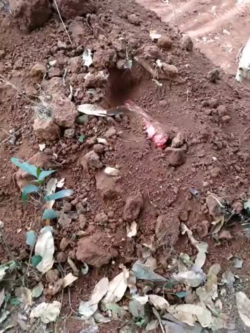 अन्तागढ़: पत्काल बेड़ा में नक्सलियों द्वारा लगाए गए चार IED बम मिले #नक्सली #ied