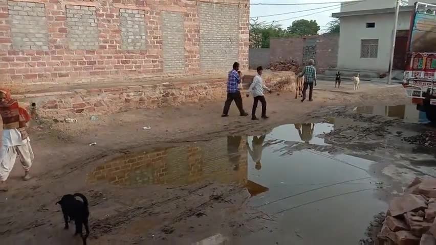 रोहट: कलाली ग्राम पंचायत के रामपुरा गांव के लोहारों के बास में पानी की निकासी नहीं से भरा पानी #समस्याएं